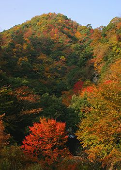 阿瀬渓谷の紅葉